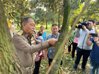 องคมนตรี เยี่ยมชมแปลงเกษตรชาวสวนทุเรียนบ้านร่วมใจพัฒนา พารามิเตอร์รูปภาพ 9