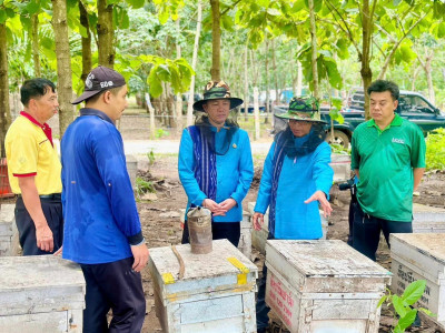 รองอธิบดีกรมส่งเสริมสหกรณ์ พร้อมด้วย สหกรณ์จังหวัดเลย ... พารามิเตอร์รูปภาพ 15