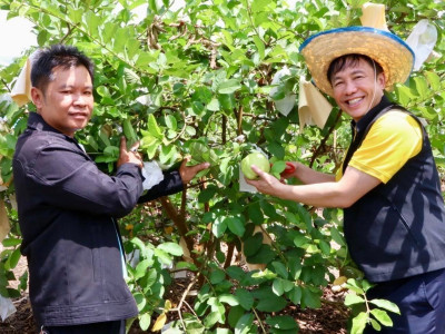 รองอธิบดีกรมส่งเสริมสหกรณ์ ลงพื้นที่จังหวัดเชียงใหม่ ... พารามิเตอร์รูปภาพ 14