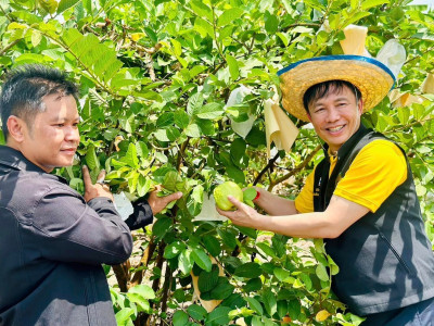 รองอธิบดีกรมส่งเสริมสหกรณ์ ลงพื้นที่จังหวัดเชียงใหม่ ... พารามิเตอร์รูปภาพ 8