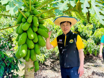 รองอธิบดีกรมส่งเสริมสหกรณ์ ลงพื้นที่จังหวัดเชียงใหม่ ... พารามิเตอร์รูปภาพ 13