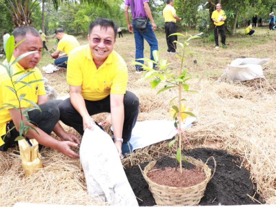 อธิบดีกรมส่งเสริมสหกรณ์ เป็นประธานในพิธีเปิดโครงการปลูกป่า ... พารามิเตอร์รูปภาพ 8