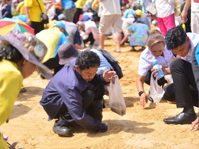 พระบาทสมเด็จพระเจ้าอยู่หัว และสมเด็จพระนางเจ้าฯ ... พารามิเตอร์รูปภาพ 45