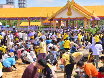 พระบาทสมเด็จพระเจ้าอยู่หัว และสมเด็จพระนางเจ้าฯ ... พารามิเตอร์รูปภาพ 46