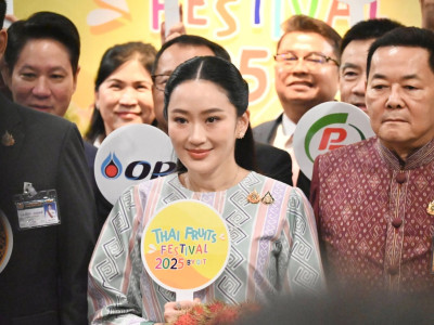 นางสาวแพทองธาร ชินวัตร นายกรัฐมนตรี ... พารามิเตอร์รูปภาพ 1