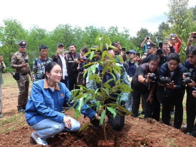นางสาวแพทองธาร ชินวัตร นายกรัฐมนตรี พร้อมด้วย นายอิทธิ ... พารามิเตอร์รูปภาพ 24