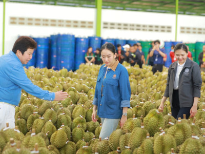 นางสาวแพทองธาร ชินวัตร นายกรัฐมนตรี พร้อมด้วย นายอิทธิ ... พารามิเตอร์รูปภาพ 19