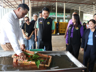 อธิบดีกรมส่งเสริมสหกรณ์ เป็นประธานในพิธีปล่อยคาราวานผลไม้ ... พารามิเตอร์รูปภาพ 15