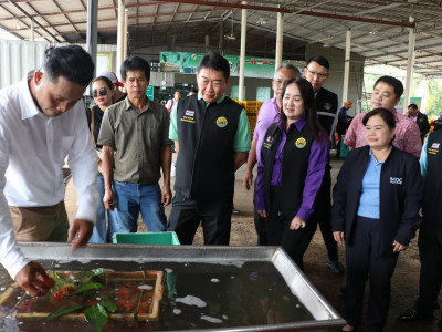 อธิบดีกรมส่งเสริมสหกรณ์ เป็นประธานในพิธีปล่อยคาราวานผลไม้ ... พารามิเตอร์รูปภาพ 16