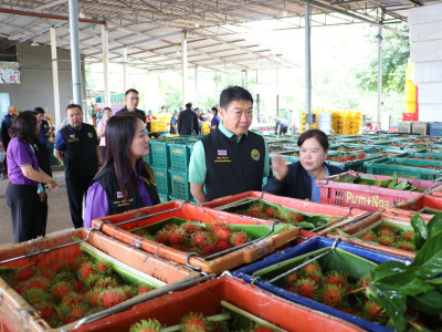 อธิบดีกรมส่งเสริมสหกรณ์ เป็นประธานในพิธีปล่อยคาราวานผลไม้ ... พารามิเตอร์รูปภาพ 17