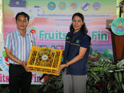 อธิบดีกรมส่งเสริมสหกรณ์ เป็นประธานในพิธีปล่อยคาราวานผลไม้ ... พารามิเตอร์รูปภาพ 23