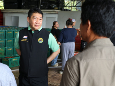 อธิบดีกรมส่งเสริมสหกรณ์ เป็นประธานในพิธีปล่อยคาราวานผลไม้ ... พารามิเตอร์รูปภาพ 9