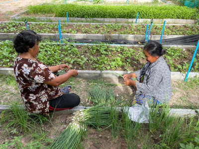กรมส่งเสริมสหกรณ์ เดินหน้าส่งเสริมอาชีพและการตลาดในพื้นที่ ... พารามิเตอร์รูปภาพ 5