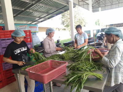 กรมส่งเสริมสหกรณ์ เดินหน้าส่งเสริมอาชีพและการตลาดในพื้นที่ ... พารามิเตอร์รูปภาพ 6