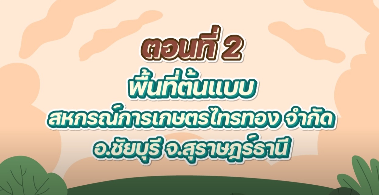 ขอเชิญติดตามชมการส่งเสริมอาชีพและการตลาดให้กับสหกรณ์ในพื้นที่ คทช. ตอนที่ 2 สหกรณ์การเกษตรไทรทอง จำกัด จังหวัดสุราษฎร์ธานี ... พารามิเตอร์รูปภาพ 1