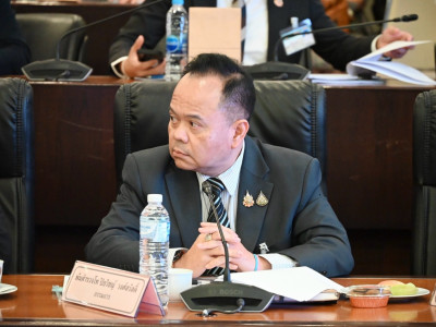นายพิชัย ชุณหวชิร รองนายกรัฐมนตรี ... พารามิเตอร์รูปภาพ 20