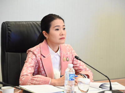 นายพิชัย ชุณหวชิร รองนายกรัฐมนตรี ... พารามิเตอร์รูปภาพ 7