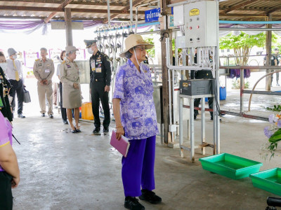 สมเด็จพระกนิษฐาธิราชเจ้า กรมสมเด็จพระเทพรัตนราชสุดา ฯ ... พารามิเตอร์รูปภาพ 10