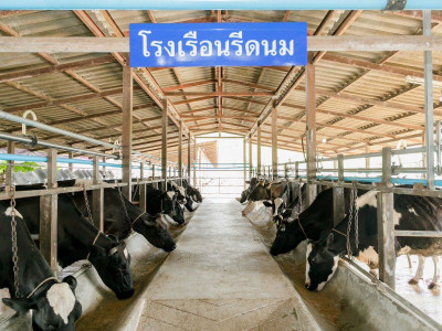 สมเด็จพระกนิษฐาธิราชเจ้า กรมสมเด็จพระเทพรัตนราชสุดา ฯ ... พารามิเตอร์รูปภาพ 11