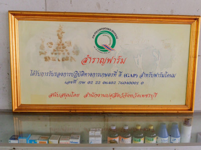 สมเด็จพระกนิษฐาธิราชเจ้า กรมสมเด็จพระเทพรัตนราชสุดา ฯ ... พารามิเตอร์รูปภาพ 18
