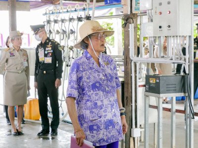 สมเด็จพระกนิษฐาธิราชเจ้า กรมสมเด็จพระเทพรัตนราชสุดา ฯ ... พารามิเตอร์รูปภาพ 2