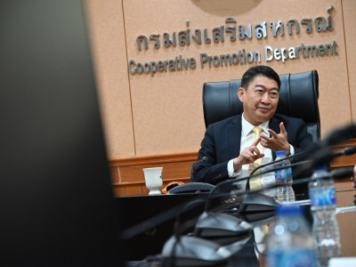 อธิบดีกรมส่งเสริมสหกรณ์ ... พารามิเตอร์รูปภาพ 1