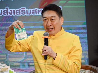 อธิบดีกรมส่งเสริมสหกรณ์ ... พารามิเตอร์รูปภาพ 13