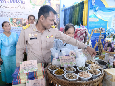สมเด็จพระกนิษฐาธิราชเจ้า กรมสมเด็จพระเทพรัตนราชสุดา ฯ ... พารามิเตอร์รูปภาพ 12