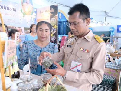 สมเด็จพระกนิษฐาธิราชเจ้า กรมสมเด็จพระเทพรัตนราชสุดา ฯ ... พารามิเตอร์รูปภาพ 4