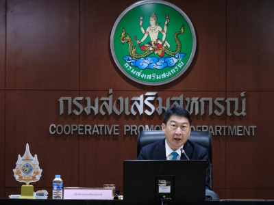 อธิบดีกรมส่งเสริมสหกรณ์ ... พารามิเตอร์รูปภาพ 1