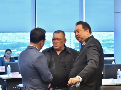 นายพิชัย ชุณหวชิร รองนายกรัฐมนตรี ... พารามิเตอร์รูปภาพ 12