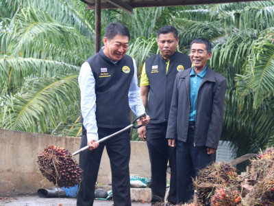 อธิบดีกรมส่งเสริมสหกรณ์ ... พารามิเตอร์รูปภาพ 4