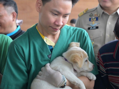 นายอรรถกร ศิริลัทธยากร รัฐมนตรีว่าการกระทรวงเกษตรและสหกรณ์ ... พารามิเตอร์รูปภาพ 19