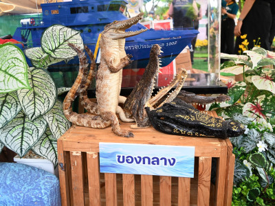นายอรรถกร ศิริลัทธยากร รัฐมนตรีว่าการกระทรวงเกษตรและสหกรณ์ ... พารามิเตอร์รูปภาพ 16