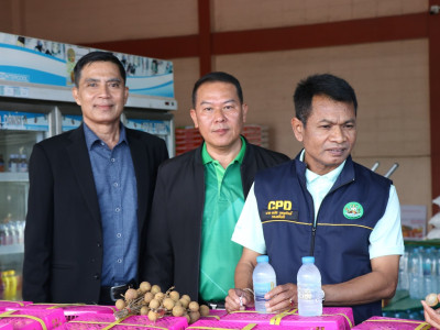 รองอธิบดีกรมส่งเสริมสหกรณ์ ... พารามิเตอร์รูปภาพ 17