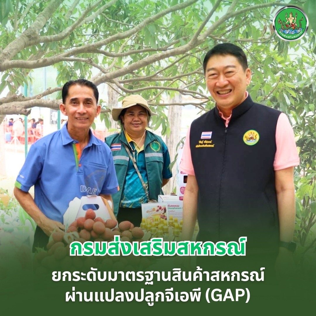 ยกระดับสินค้าสหกรณ์ตามมาตรฐาน “จีเอพี” ... พารามิเตอร์รูปภาพ 1