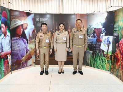 สมเด็จพระกนิษฐาธิราชเจ้า กรมสมเด็จพระเทพรัตนราชสุดา ฯ ... พารามิเตอร์รูปภาพ 13