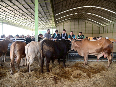 ร้อยเอก ธรรมนัส พรหมเผ่า รองนายกรัฐมนตรี และ รมว.เกษตรฯ ... พารามิเตอร์รูปภาพ 14