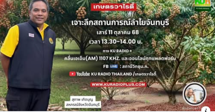 เจาะลึกสถานการณ์ลำไยจันทบุรี พารามิเตอร์รูปภาพ 1