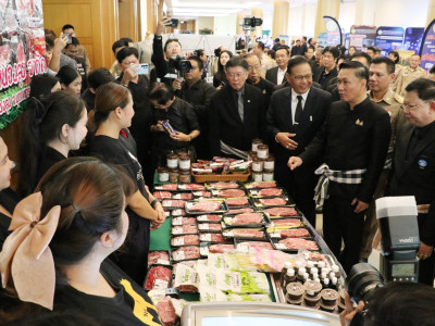 นายทรงศักดิ์ ทรงศรี รัฐมนตรีช่วยว่าการกระทรวงมหาดไทย ... พารามิเตอร์รูปภาพ 15