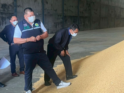 นายณัฏฐกิตติ์ ของทิพย์ ... พารามิเตอร์รูปภาพ 16