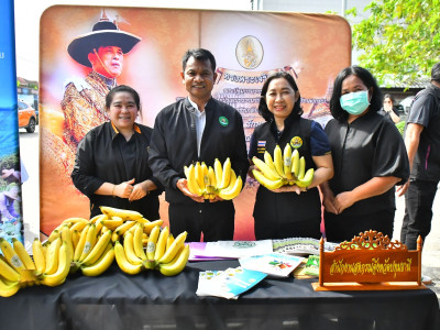 ร้อยเอก ธรรมนัส พรหมเผ่า รองนายกรัฐมนตรี ... พารามิเตอร์รูปภาพ 5