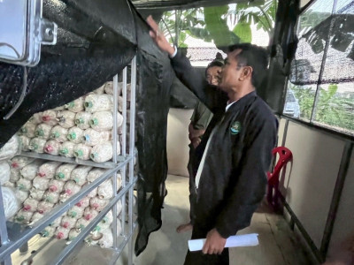 รองอธิบดีกรมส่งเสริมสหกรณ์ ... พารามิเตอร์รูปภาพ 24