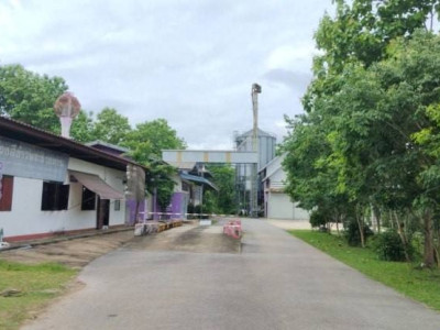 โรงสีข้าวพระราชทานท่าวังผา ชุบชีวิตชาวนาน่าน ... พารามิเตอร์รูปภาพ 5