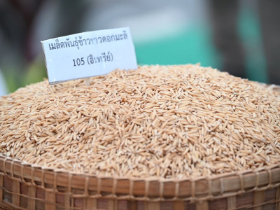 กรมส่งเสริมสหกรณ์ ทำทันที ขานรับนโยบายรองนายกฯ ธรรมนัส ... พารามิเตอร์รูปภาพ 8