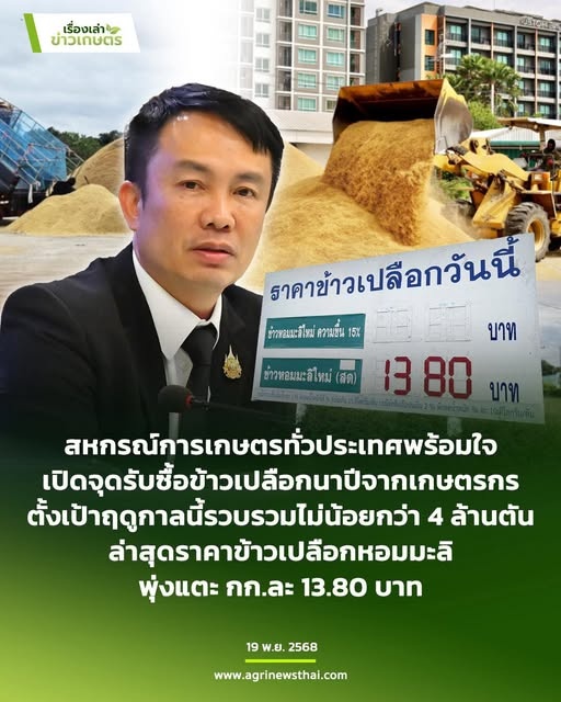 สหกรณ์การเกษตรทั่วประเทศพร้อมใจเปิดจุดรับซื้อข้าวเปลือกนาปีจากเกษตรกร ตั้งเป้าฤดูกาลนี้รวบรวมไม่น้อยกว่า 4 ล้านตันล่าสุดราคาข้าวเปลือกหอมมะลิพุ่งแตะ กก.ละ13.80 บาท ... พารามิเตอร์รูปภาพ 1