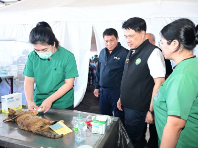 อธิบดีกรมส่งเสริมสหกรณ์ ... พารามิเตอร์รูปภาพ 3