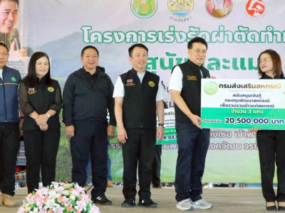 อธิบดีกรมส่งเสริมสหกรณ์ ... พารามิเตอร์รูปภาพ 6