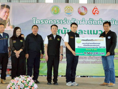 อธิบดีกรมส่งเสริมสหกรณ์ ... พารามิเตอร์รูปภาพ 8