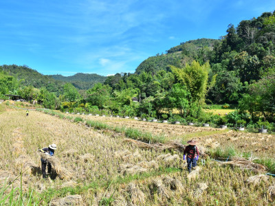 อธิบดีกรมส่งเสริมสหกรณ์ พร้อมด้วย ผู้ตรวจราชการกรม ... พารามิเตอร์รูปภาพ 25